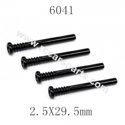 SCY-16106 RC Car Parts Screw 2.5X29.5mm 6041