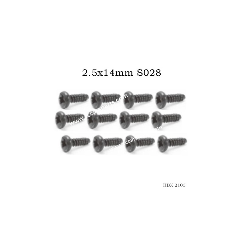 HBX 2103 Spare Screws Parts 2.5x14mm S028